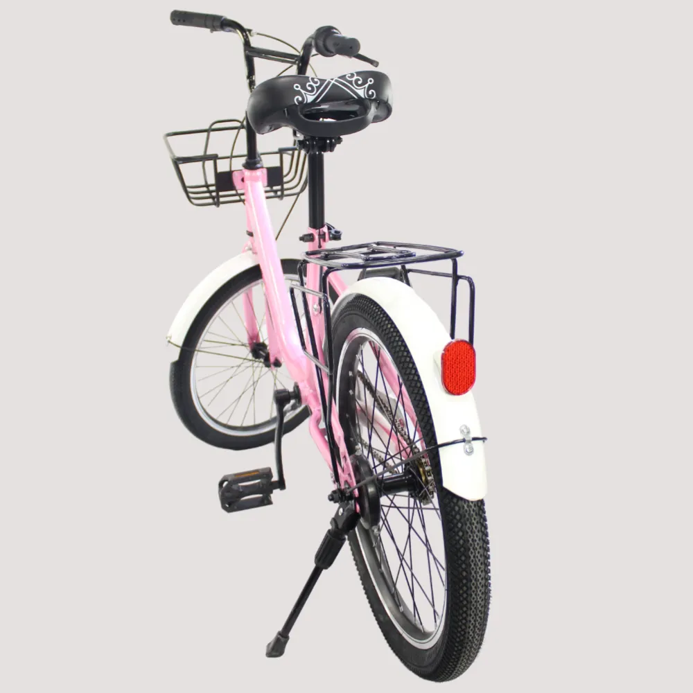 20 Inches Bicycle