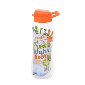 650 ml Transparent Water Bottle