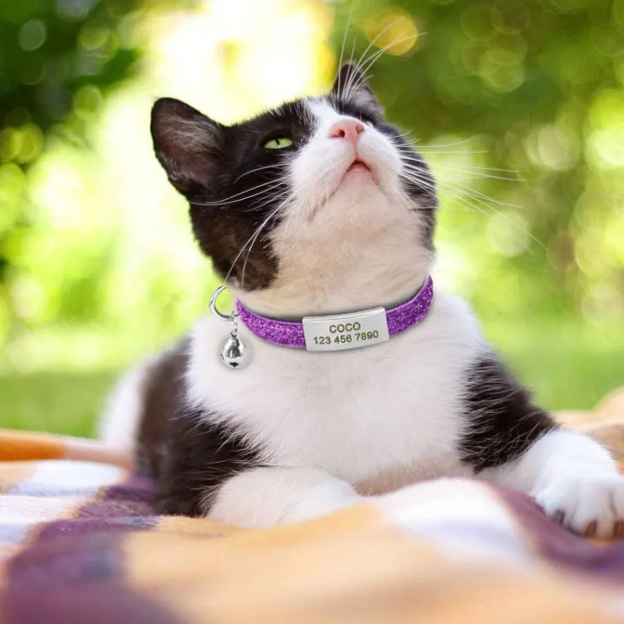 Bling Personalized Cat Collar with Bell: Stylish, Quick Release Design for Your Feline!