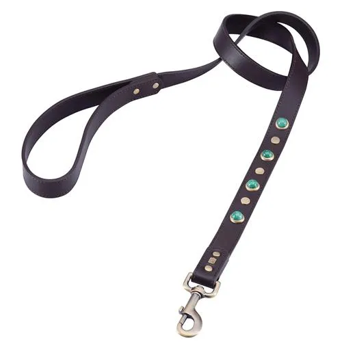 Boho Brown Leather Dog Leash