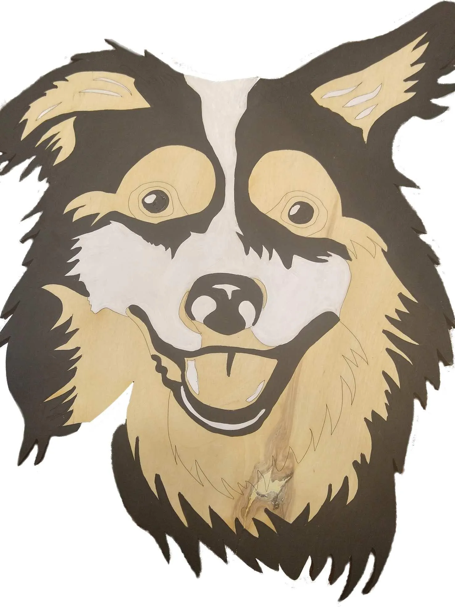 Border Collie-DIY Pop Art Paint Kit