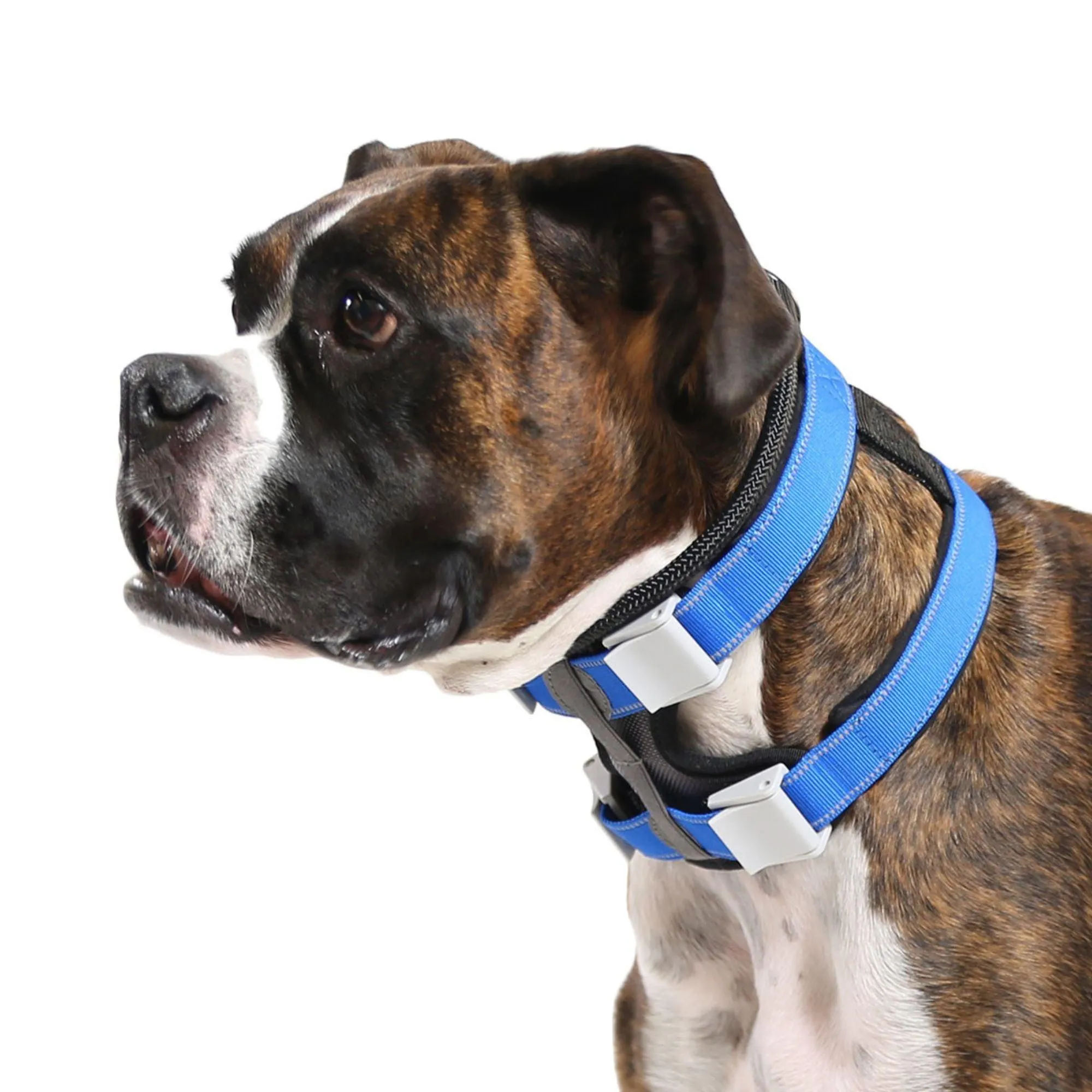 Cesar Millan™ Pack Leader Collar