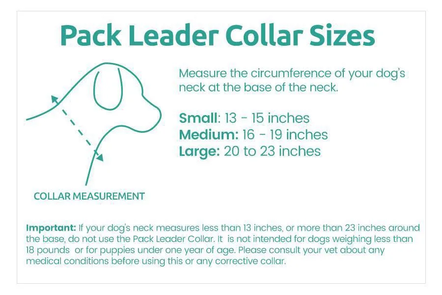 Cesar Millan™ Pack Leader Collar