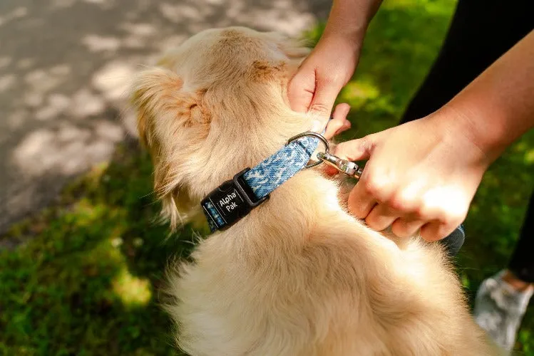 Dog Collar by Alpha Pak