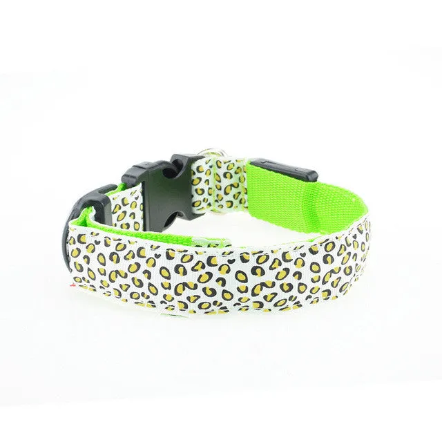 Dogstory Adjustable New Style Leopard Glow Cat Dog Collar Nylon Dog Harness Night Safe Flashing Pet Collars Fashion Accessories