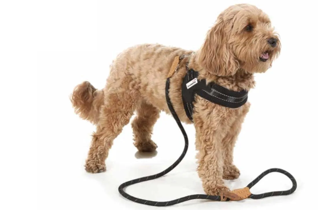 Doodlebone Rope Dog Leads