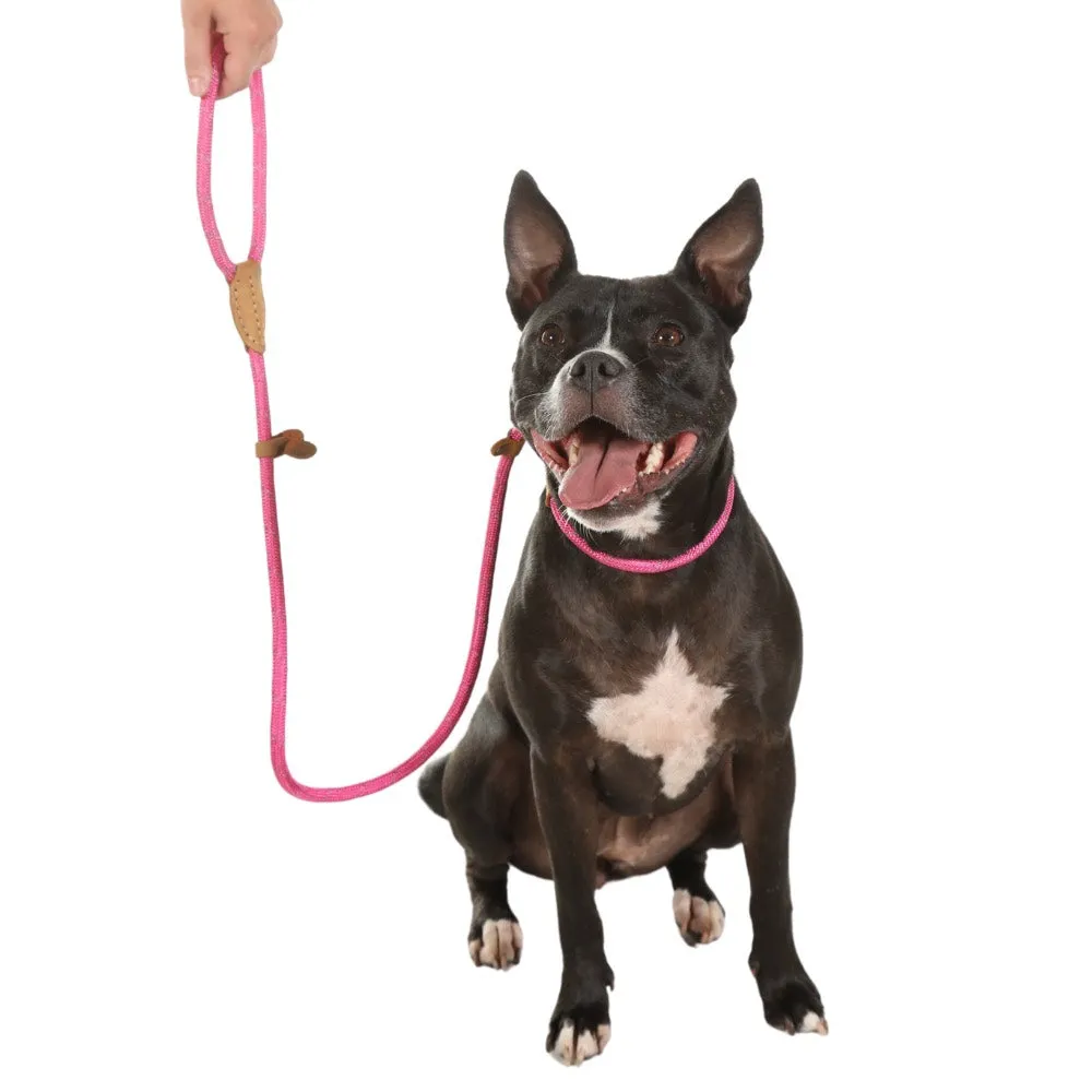 Doodlebone Slip Dog Leads