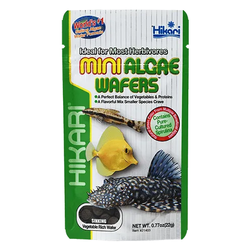 Hikari Tropical Mini Algae Wafers