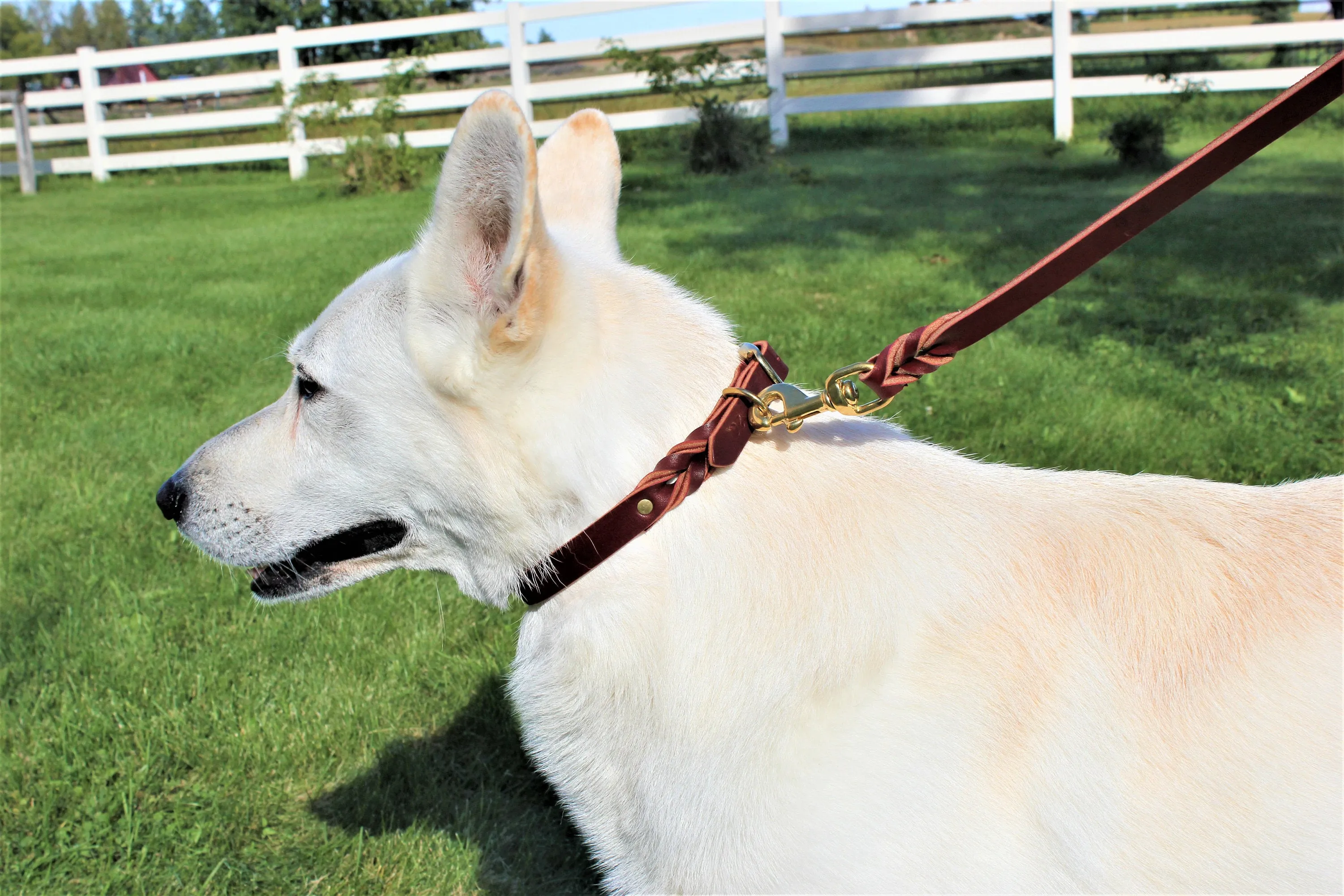 Latigo Leather Leashes 2'