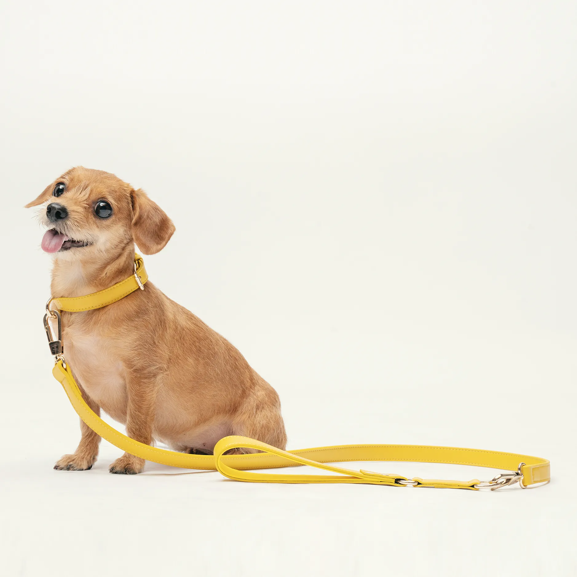 Leash - Bumblebee Yellow