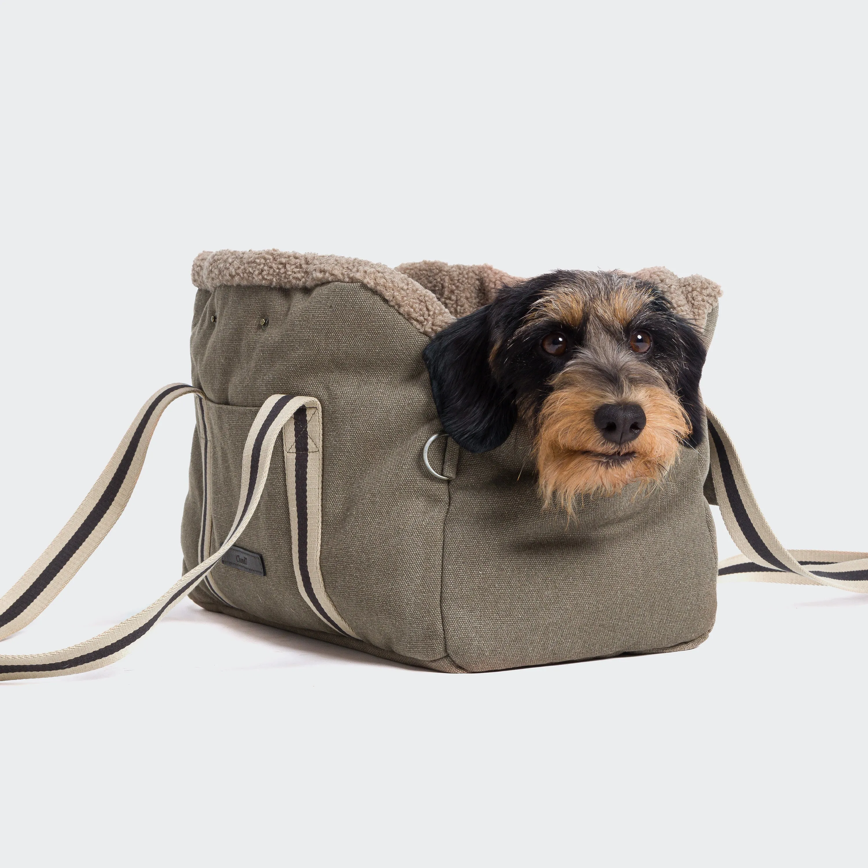 Lucca Dog Carrier in Sand from Cloud 7