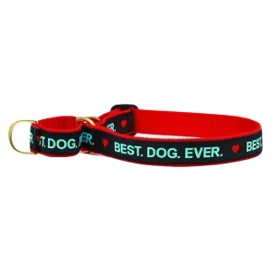 Martingale Collar | Best. Dog. Ever.