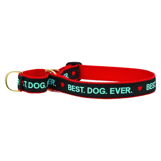 Martingale Collar | Best. Dog. Ever.