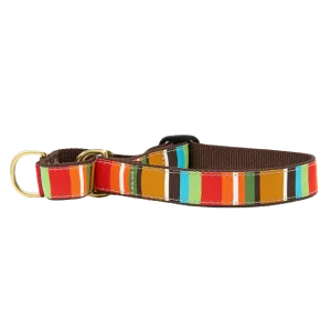 Martingale Collar | Brown Stripe