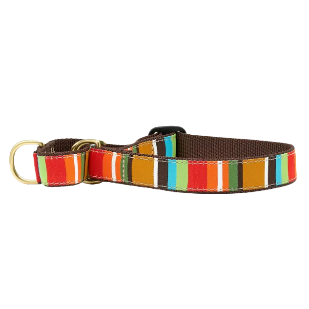 Martingale Collar | Brown Stripe