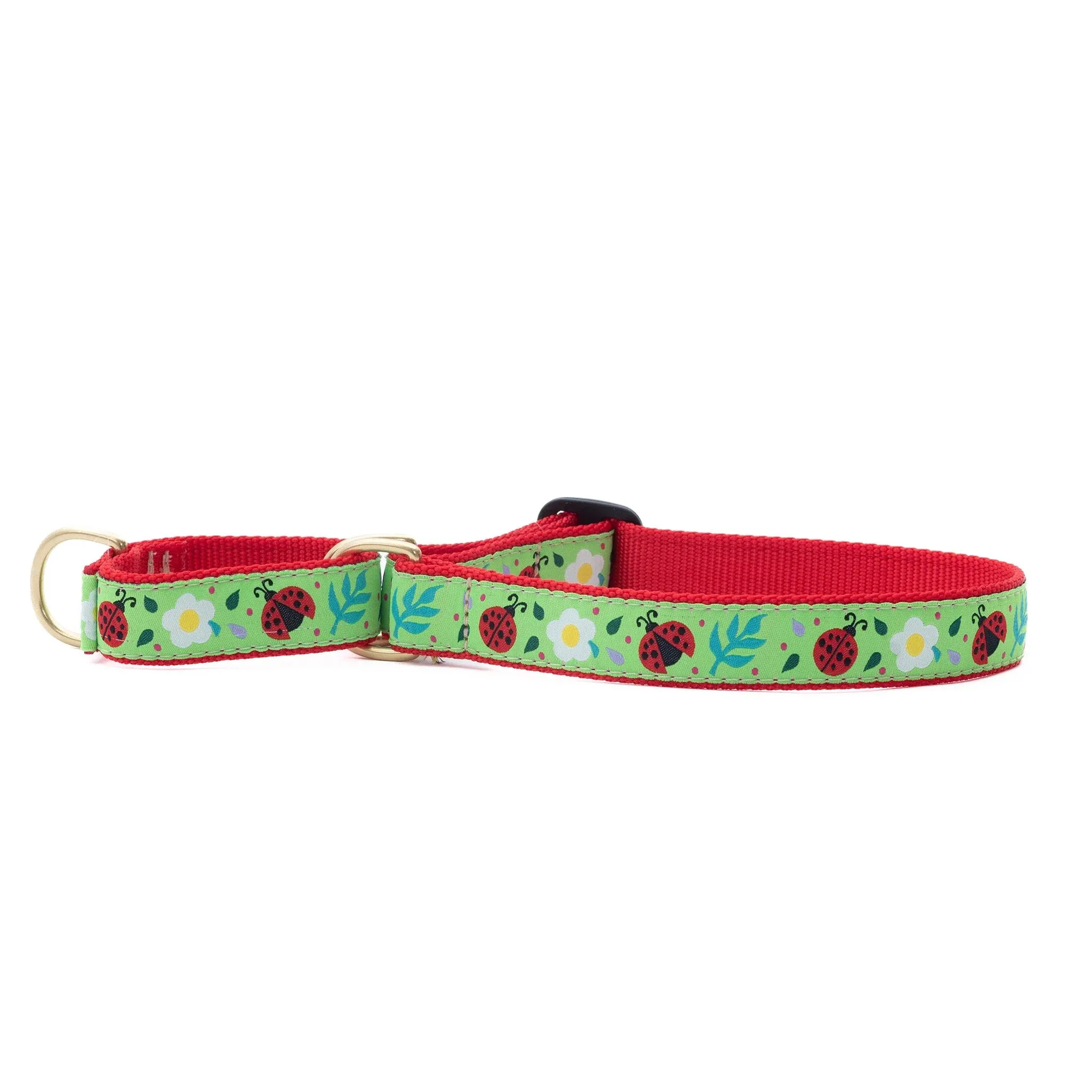 Martingale Collar | Lovely Ladybugs