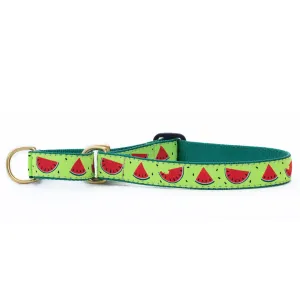 Martingale Collar | One In A Melon