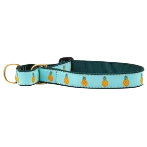 Martingale Collar | Pineapple