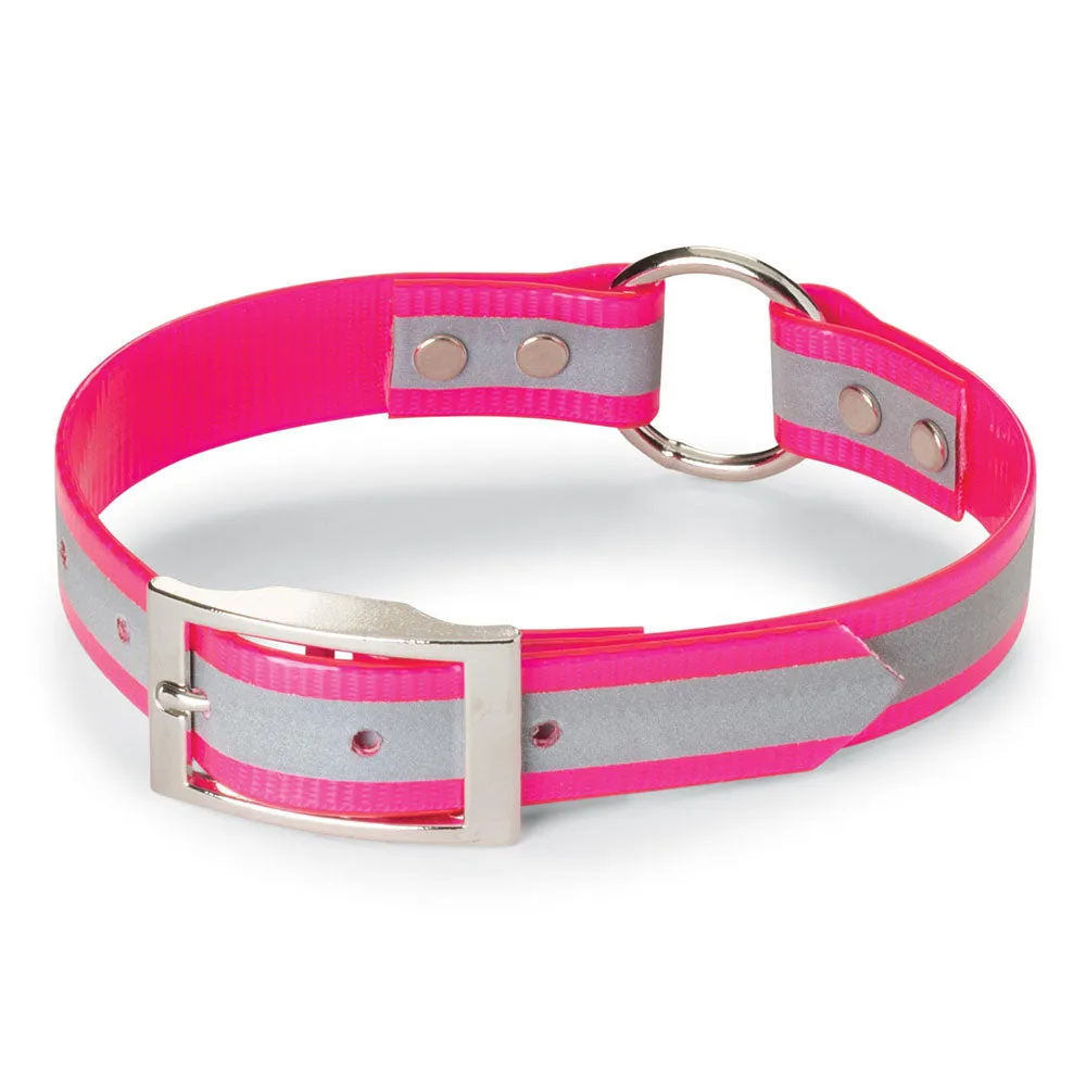 Nite Lite 1" Day-Glo Collar Ring-N-Center with Reflective Strip