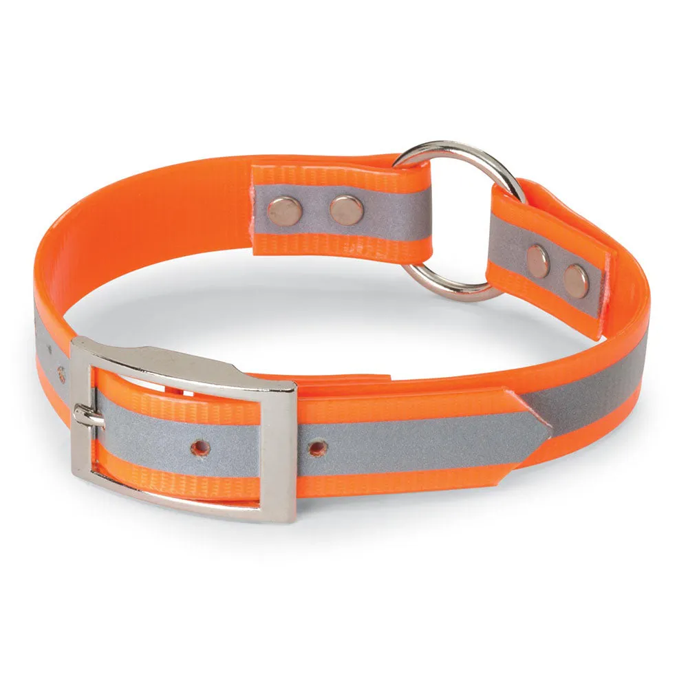 Nite Lite 1" Day-Glo Collar Ring-N-Center with Reflective Strip