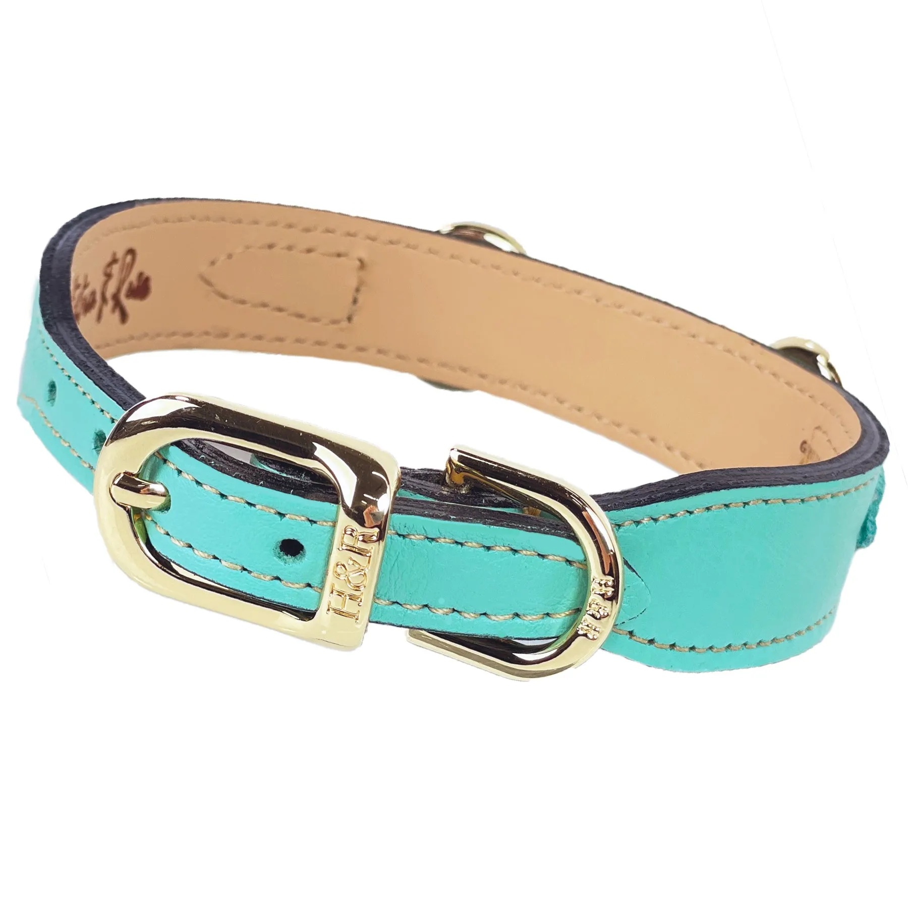 Octagon Dog Collar in Turquoise & Gold