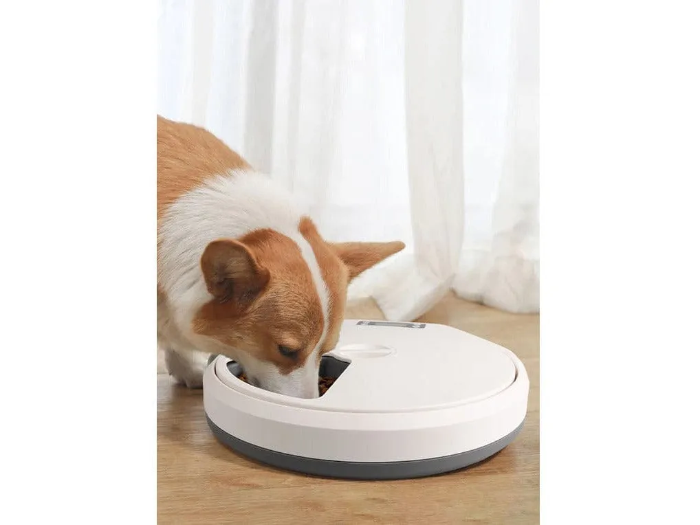 PAWISE  Automatic Pet Feeder