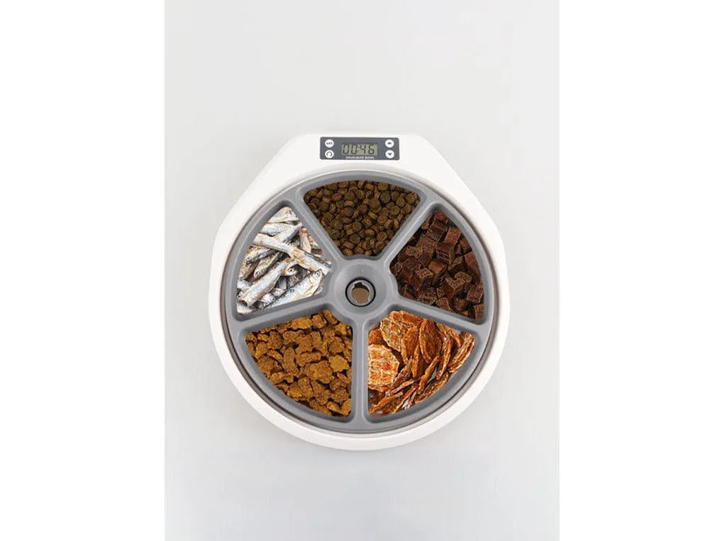 PAWISE  Automatic Pet Feeder