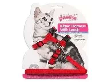 PAWISE Kitten Harness (19-32/27-47cm) W/1.2 Leash- M