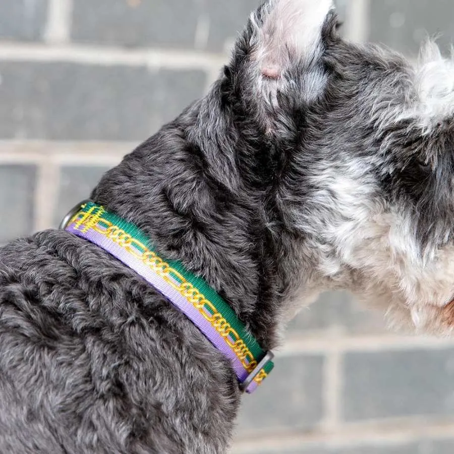 Pidan Dog Collar