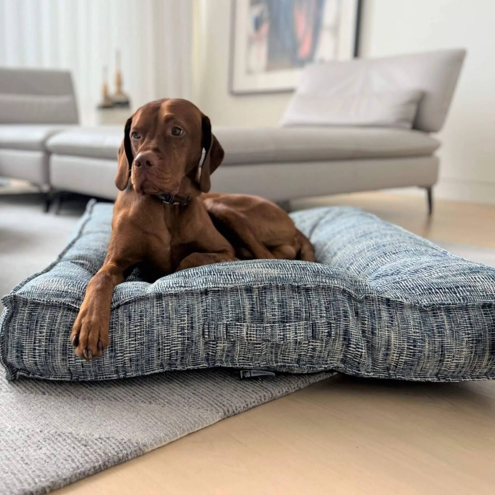 Portofino Chenille Piazza Dog Bed