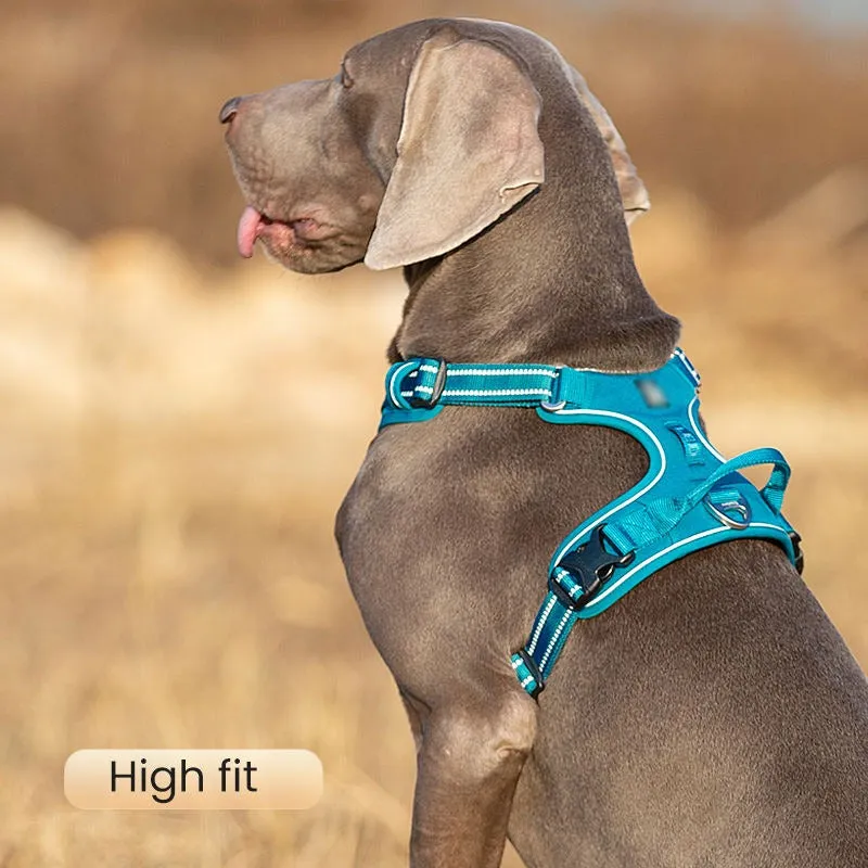 Premium Design Leashes Pet Harness Reflective Training Tactical Leashes | 56512