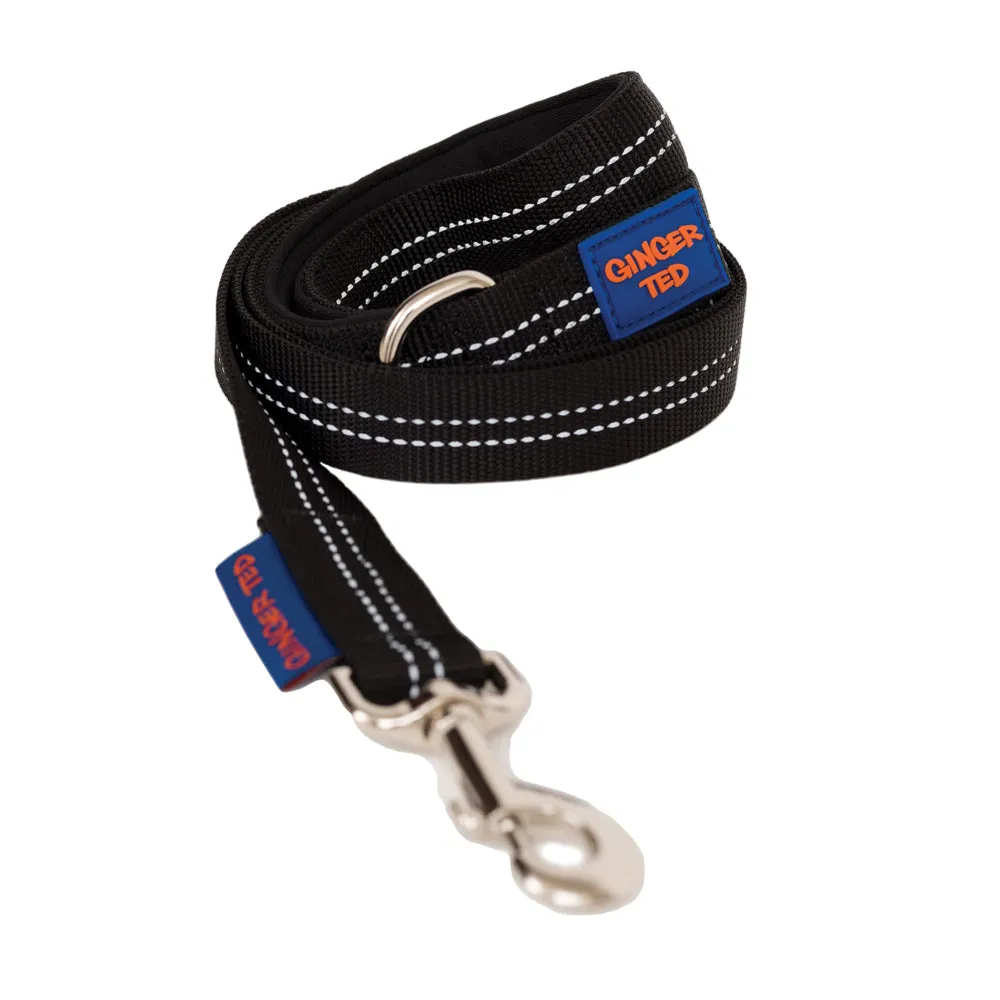 Reflective Comfort Nylon Padded Dog Collar & Lead Value Pack