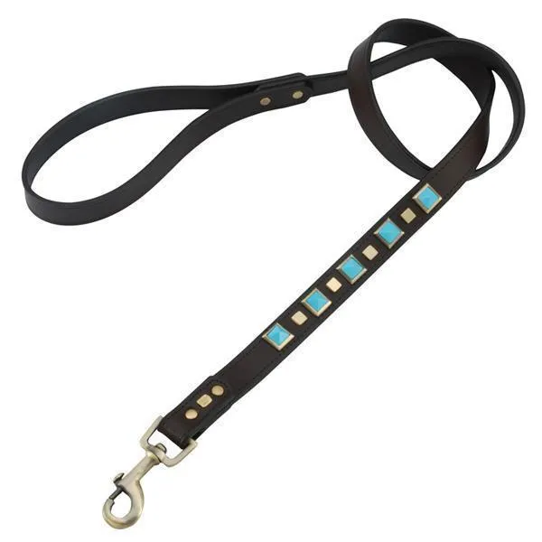 Turquoise Rock And Roll Dog Leash