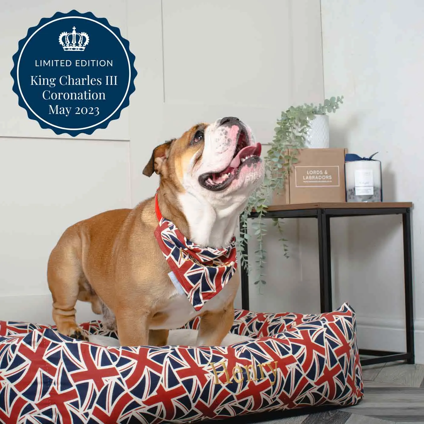 Union Jack Box Bed For Dogs by Lords & Labradors